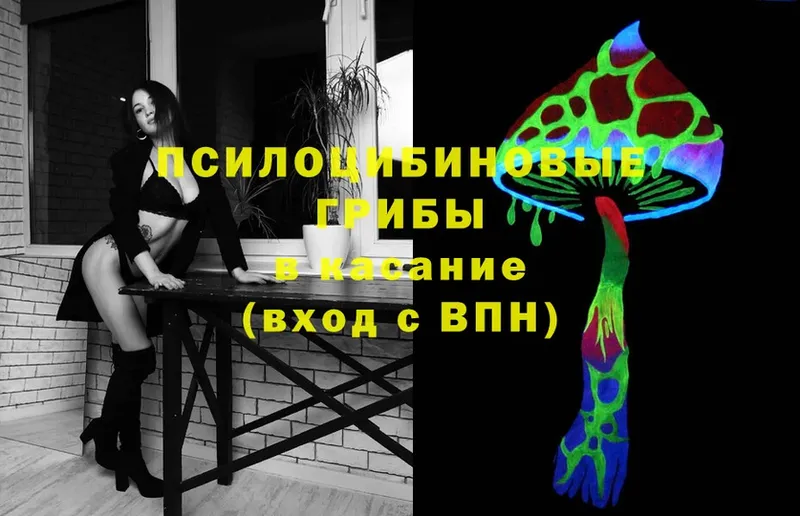 Галлюциногенные грибы Cubensis  Кировград 